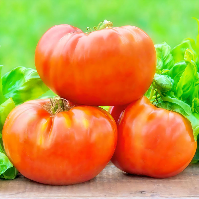 Delicious, Tomato - BoxGardenSeedsLLC - Tomatoes,Tomatillos - Seeds - 