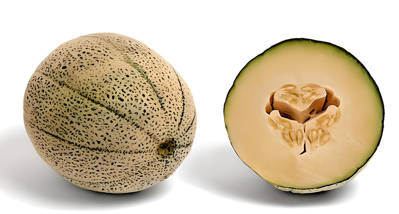 Hales Best Jumbo, Cantaloupe, - BoxGardenSeedsLLC -Melons, Cantaloupe - Seeds