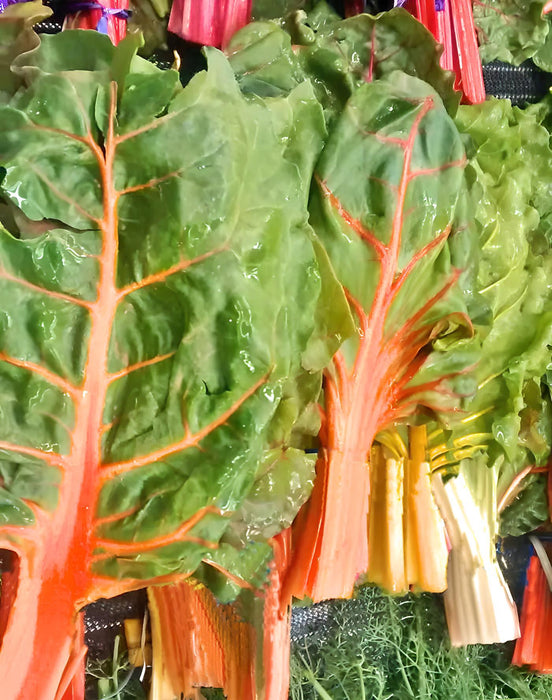 Rainbow Mix, Swiss Chard, -- BoxGardenSeedsLLC -Chard, Kohlrabi - Seeds