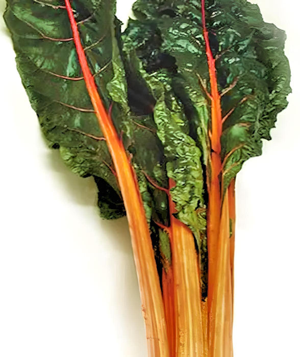 Rainbow Mix, Swiss Chard, -- BoxGardenSeedsLLC -Chard, Kohlrabi - Seeds