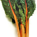 Rainbow Mix, Swiss Chard, - BoxGardenSeedsLLC -Chard, Kohlrabi - Seeds