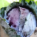 Early Red Acre, Cabbage, - BoxGardenSeedsLLC -Cabbage, Kale - Seeds