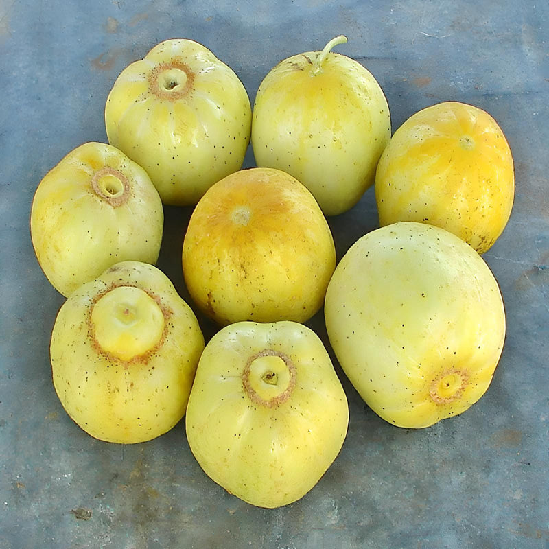 Lemon, Cucumber - BoxGardenSeedsLLC - Cucumbers - Seeds - USA Seller, Thank you for shopping here today, Naturally Grown GMO Free Seeds, Heirloom Open Pollinated Seeds, Fresh Top Quality Premium Seeds