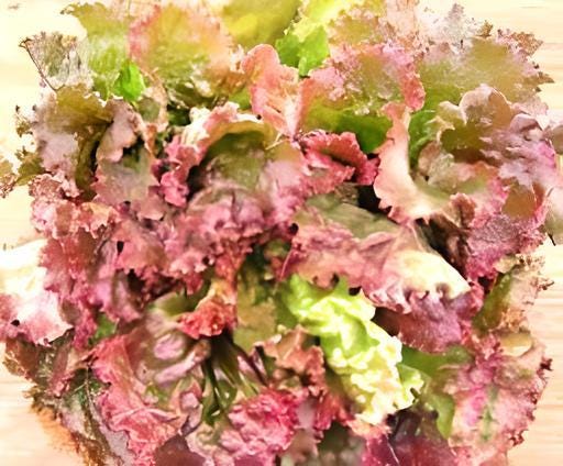 Red Sails Leaf, Lettuce - BoxGardenSeedsLLC -Lettuce - Seeds