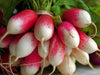 French Breakfast, Radish, -- BoxGardenSeedsLLC -Radishes - Seeds