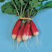 French Breakfast, Radish - BoxGardenSeedsLLC -Radishes - Seeds