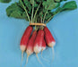 French Breakfast, Radish, -- BoxGardenSeedsLLC -Radishes - Seeds