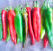 Guizeppi Chile Pepper -- BoxGardenSeedsLLC -Peppers,Eggplants - Seeds