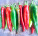 Guizeppi Chile Pepper -- BoxGardenSeedsLLC -Peppers,Eggplants - Seeds