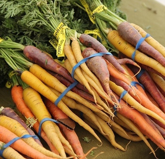 Rainbow Mix, Carrot - BoxGardenSeedsLLC -Carrots - Seeds