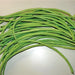 Oriental Green Yard Long, Pole Beans, - BoxGardenSeedsLLC -Beans / Dry Beans - Seeds