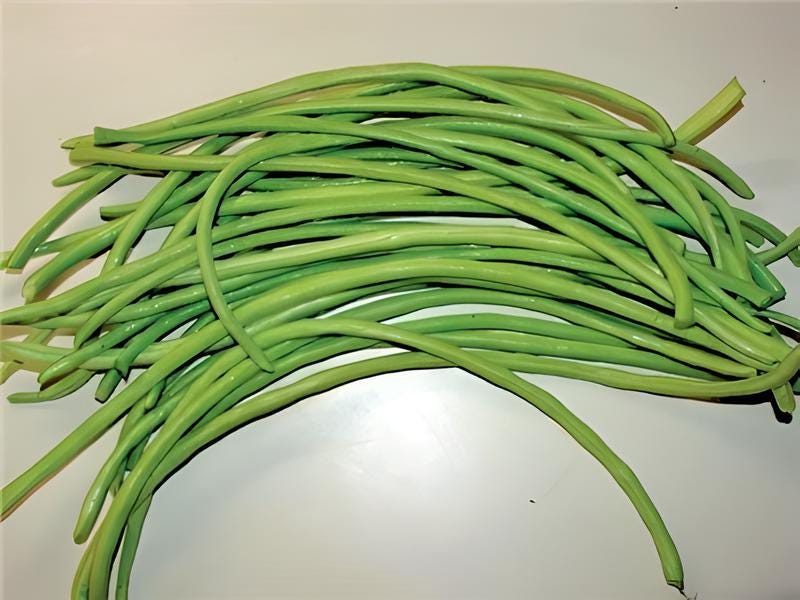 Oriental Green Yard Long, Pole Beans - BoxGardenSeedsLLC - Beans / Dry Beans - Seeds - USA Seller, Thank you for shopping here today, Naturally Grown GMO Free Seeds, Heirloom Open Pollinated Seeds, Fresh Top Quality Premium Seeds