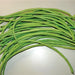 Oriental Green Yard Long, Pole Beans, - BoxGardenSeedsLLC -Beans / Dry Beans - Seeds