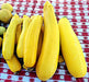 Golden Zucchini, Summer Squash, -- BoxGardenSeedsLLC -Squash,Pumpkins - Seeds