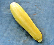 Golden Zucchini, Summer Squash - BoxGardenSeedsLLC - Squash,Pumpkins - Seeds - USA Seller, Thank you for shopping here today, Naturally Grown GMO Free Seeds, Heirloom Open Pollinated Seeds, Fresh Top Quality Premium Seeds