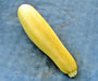 Golden Zucchini, Summer Squash, -- BoxGardenSeedsLLC -Squash,Pumpkins - Seeds