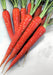 Atomic Red, Carrot, -- BoxGardenSeedsLLC -Carrots - Seeds