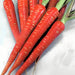 Atomic Red, Carrot, - BoxGardenSeedsLLC -Carrots - Seeds