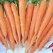 Imperator 58, Carrot, - BoxGardenSeedsLLC -Carrots - Seeds