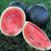 Blacktail Mountain, Watermelon, - BoxGardenSeedsLLC -Melons, Cantaloupe - Seeds