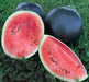 Blacktail Mountain, Watermelon, -- BoxGardenSeedsLLC -Melons, Cantaloupe - Seeds