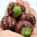 Mini Chocolate, Sweet Bell Pepper, - BoxGardenSeedsLLC -Peppers,Eggplants - Seeds