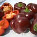 Mini Chocolate, Sweet Bell Pepper, - BoxGardenSeedsLLC -Peppers,Eggplants - Seeds