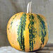 Kakai Styrian, Pumpkin, - BoxGardenSeedsLLC -Squash,Pumpkins - Seeds