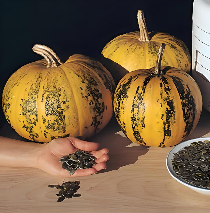 Kakai Styrian, Pumpkin, -- BoxGardenSeedsLLC -Squash,Pumpkins - Seeds