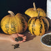 Kakai Styrian, Pumpkin, - BoxGardenSeedsLLC -Squash,Pumpkins - Seeds