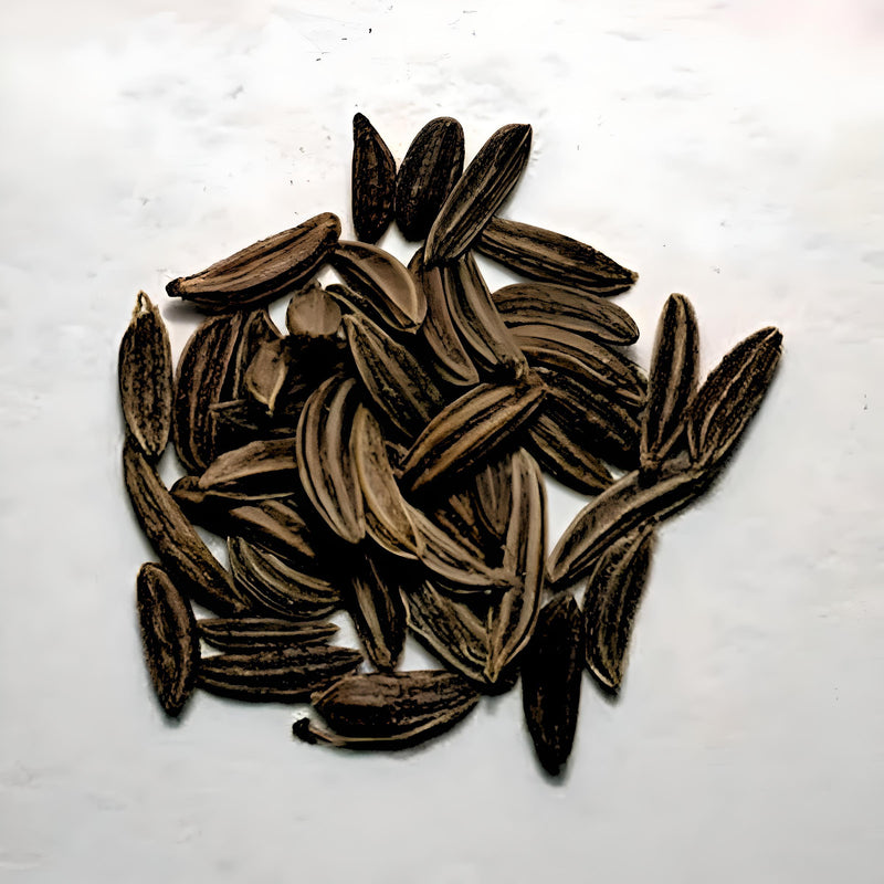 Caraway, Culinary & Medicinal Herbs - BoxGardenSeedsLLC - Culinary/Medicinal Herbs - Seeds - USA Seller, Thank you for shopping here today, Naturally Grown GMO Free Seeds, Heirloom Open Pollinated Seeds, Fresh Top Quality Premium Seeds