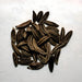 Caraway, Culinary & Medicinal Herbs, -- BoxGardenSeedsLLC -Culinary/Medicinal Herbs - Seeds