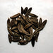 Caraway, Culinary & Medicinal Herbs, - BoxGardenSeedsLLC -Culinary/Medicinal Herbs - Seeds