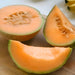 Minnesota Midget, Cantaloupe, - BoxGardenSeedsLLC -Melons, Cantaloupe - Seeds