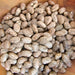 Pinto, Dry Bush Beans, - BoxGardenSeedsLLC -Abundant Stock SALE - Seeds