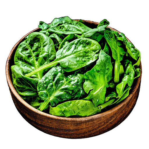 Spinach, French Viroflay, -- BoxGardenSeedsLLC -Gourmet/Native Greens - Seeds