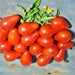 Red Pear, Tomato, - BoxGardenSeedsLLC -Tomatoes,Tomatillos - Seeds