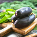 Black Beauty, Eggplant - BoxGardenSeedsLLC -Peppers,Eggplants - Seeds