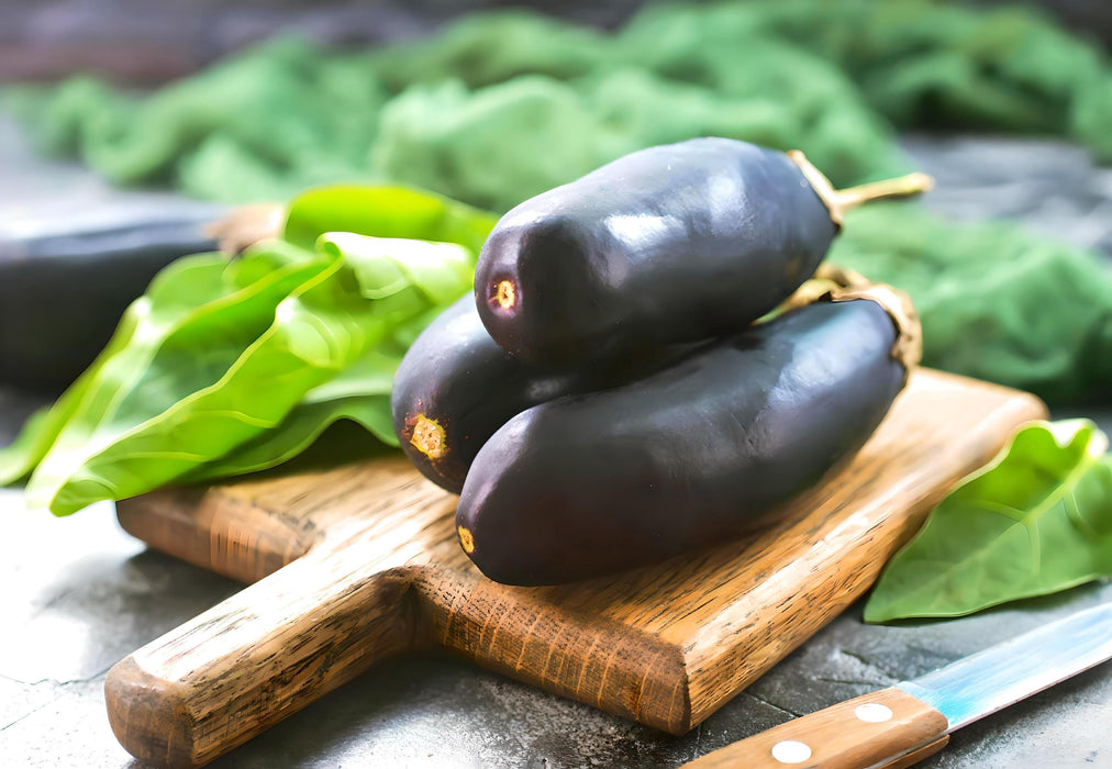 Black Beauty, Eggplant, - BoxGardenSeedsLLC -Peppers,Eggplants - Seeds