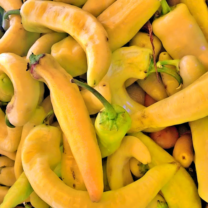 Sweet Banana, Sweet Pepper, - BoxGardenSeedsLLC -Peppers,Eggplants - Seeds