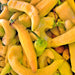 Sweet Banana, Sweet Pepper, -- BoxGardenSeedsLLC -Peppers,Eggplants - Seeds