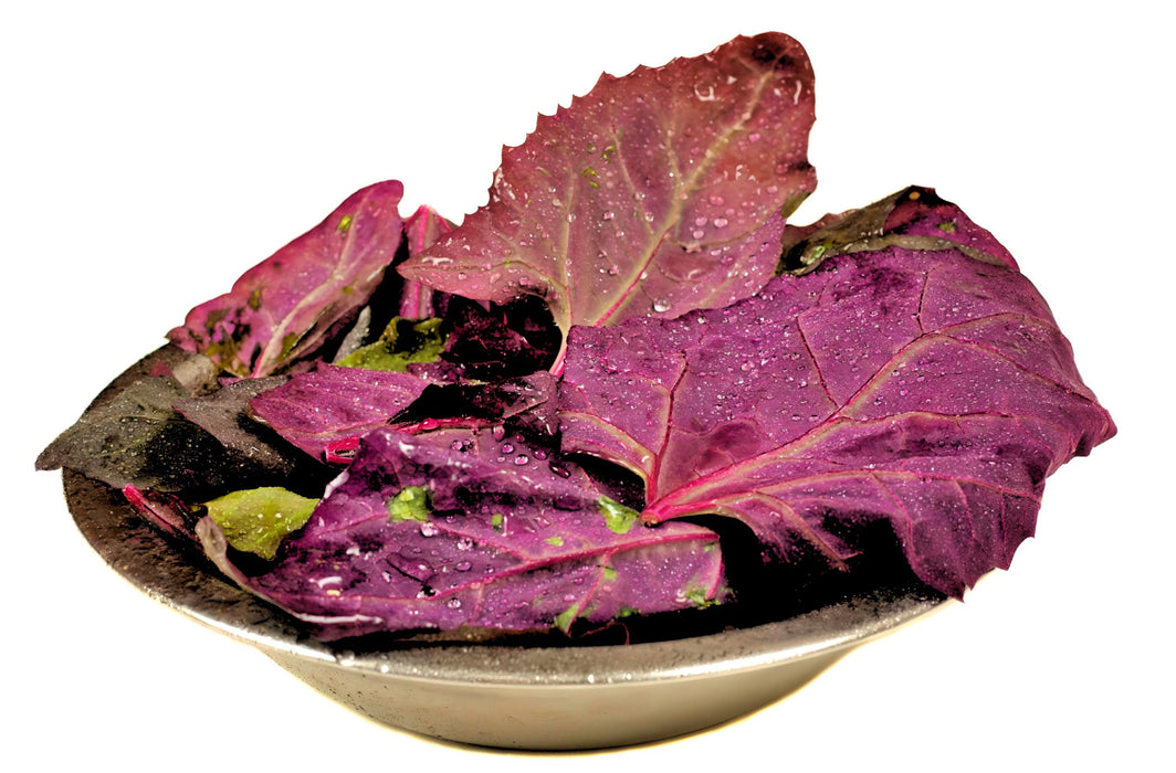 Orach Purple Mountain, Spinach, -- BoxGardenSeedsLLC -Gourmet/Native Greens - Seeds