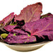 Orach Purple Mountain, Spinach, - BoxGardenSeedsLLC -Gourmet/Native Greens - Seeds