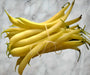 Gold Rush Wax, Bush Beans, -- BoxGardenSeedsLLC -Beans / Dry Beans - Seeds