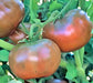 Cherokee Purple, Tomato, -- BoxGardenSeedsLLC -Tomatoes,Tomatillos - Seeds