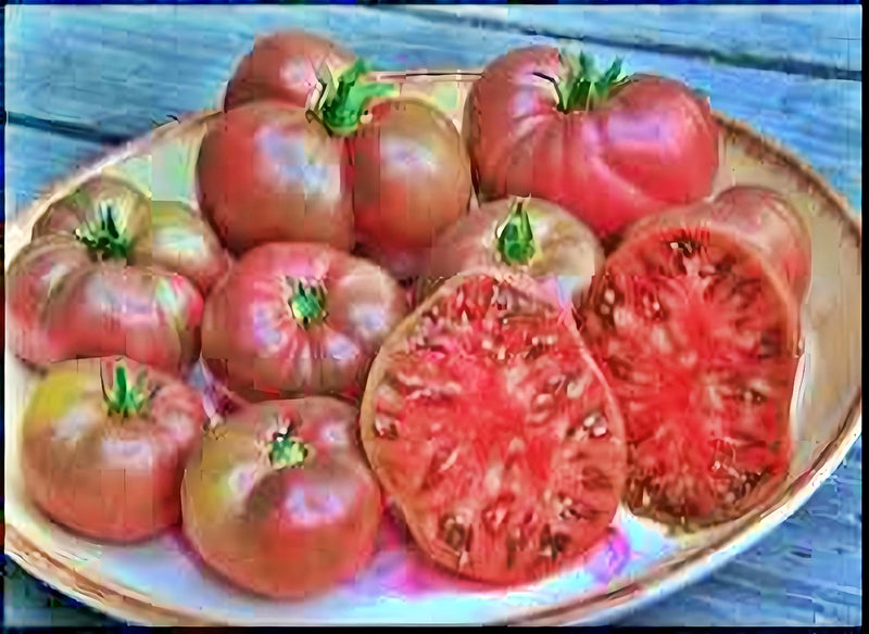 Cherokee Purple, Tomato - BoxGardenSeedsLLC - Tomatoes,Tomatillos - Seeds - 