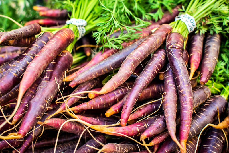 Cosmic Purple, Carrot - BoxGardenSeedsLLC - Carrots - Seeds - USA Seller, Thank you for shopping here today, Naturally Grown GMO Free Seeds, Heirloom Open Pollinated Seeds, Fresh Top Quality Premium Seeds