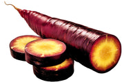 Cosmic Purple, Carrot - BoxGardenSeedsLLC - Carrots - Seeds - USA Seller, Thank you for shopping here today, Naturally Grown GMO Free Seeds, Heirloom Open Pollinated Seeds, Fresh Top Quality Premium Seeds