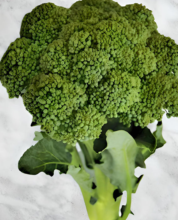 Broccoli, Green Calabrese, -- BoxGardenSeedsLLC -Broccoli,Cauliflower - Seeds