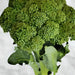 Broccoli, Green Calabrese, - BoxGardenSeedsLLC -Broccoli,Cauliflower - Seeds